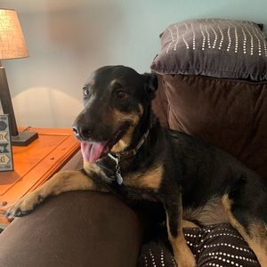 Meet your Posher, Brandon